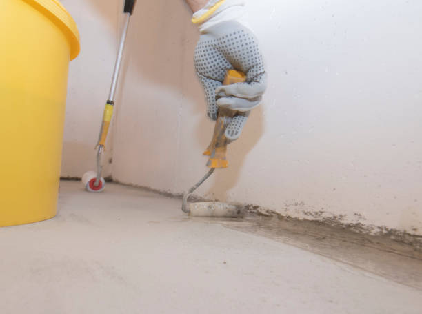 Best Pest Control for Multi-Family Homes  in Wickenburg, AZ